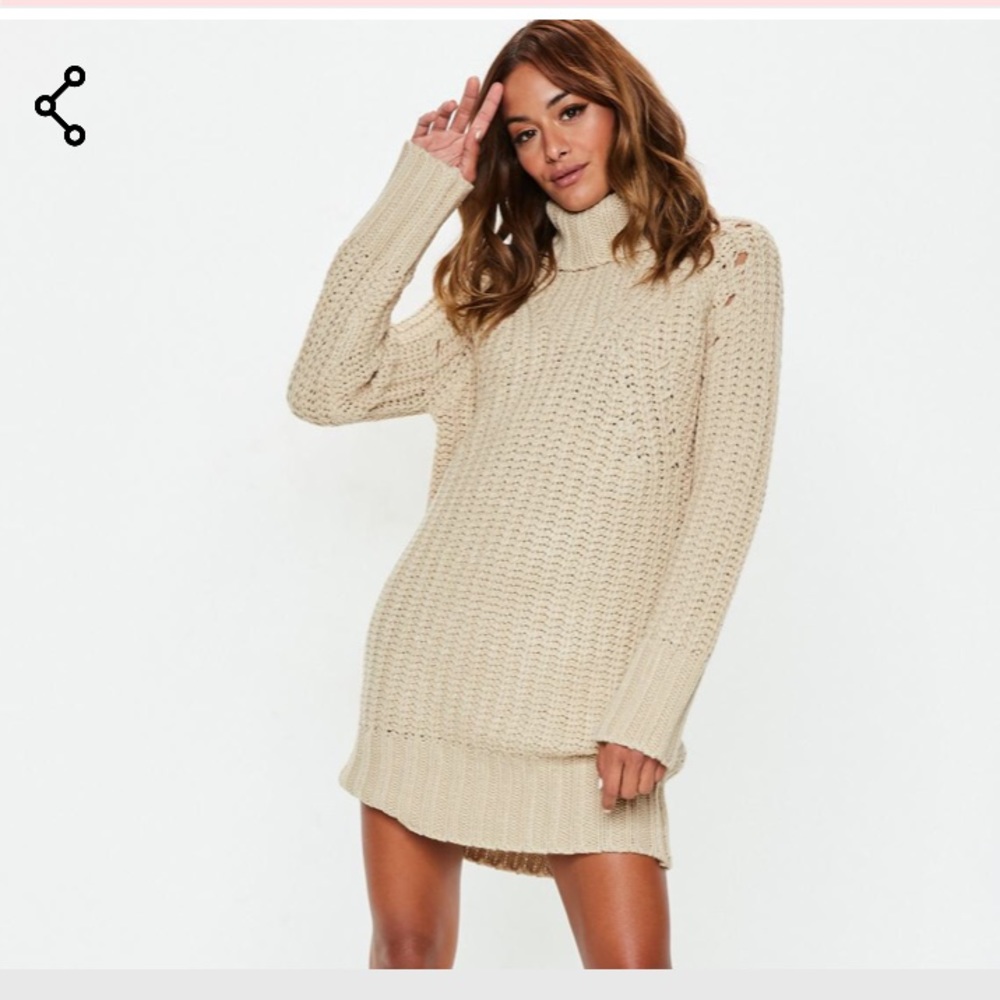 Misguided chunky roll neck knit sweater dress